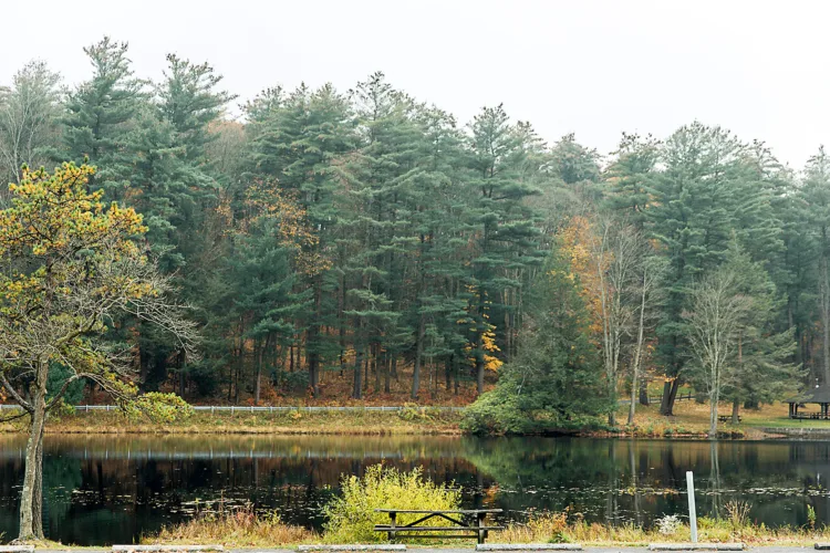 Bill sends state lands money to rural communities